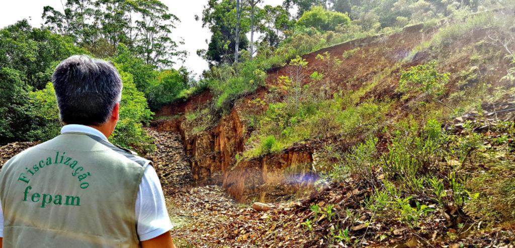 Foto: Fundação Estadual de Proteção Ambiental (Divulgação) - 