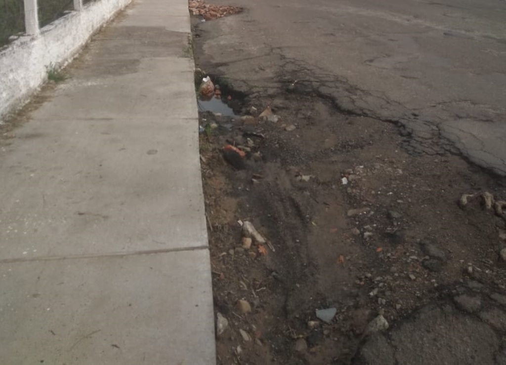 Foto: Tatiane Freitas de Moraes (Arquivo Pessoal) - 