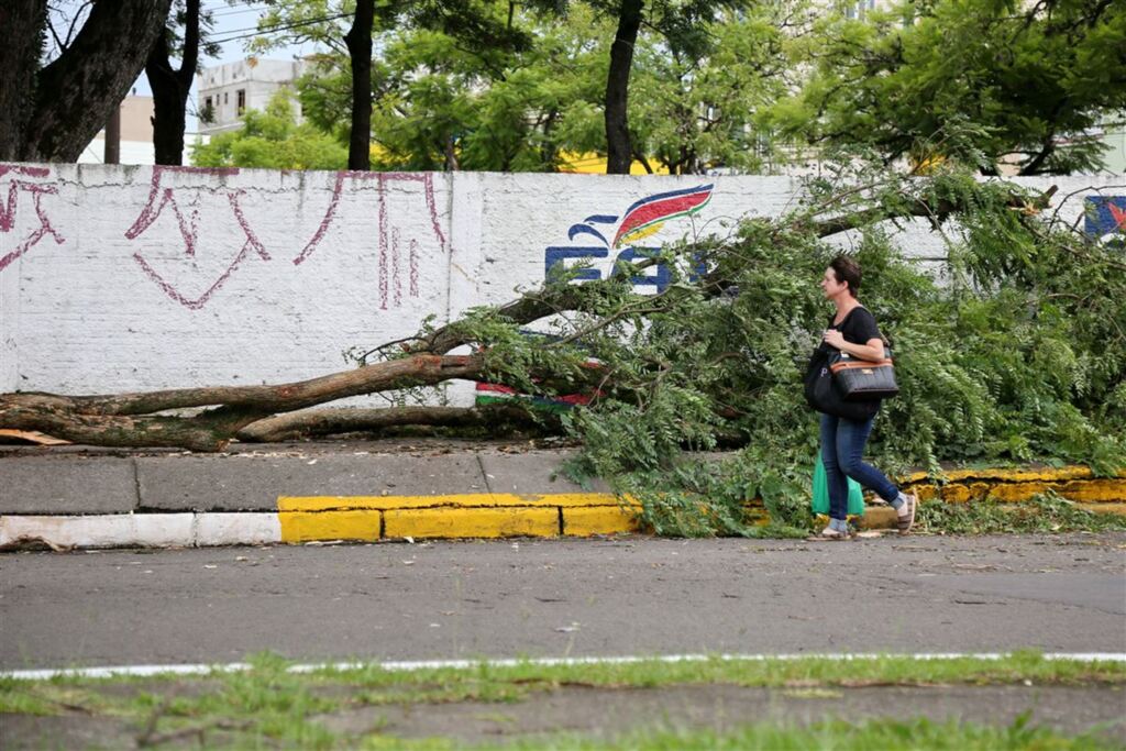 Fotos: Renan Mattos (Diário) - 