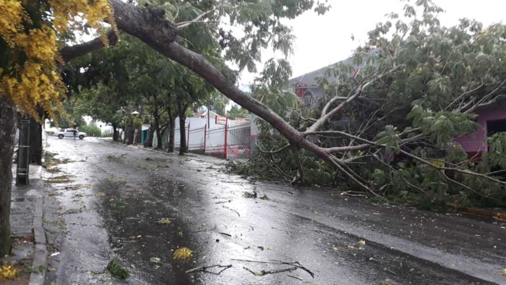 VÍDEO: rajadas de vento chegam a 73 km/h e causam transtornos em Santa Maria e região