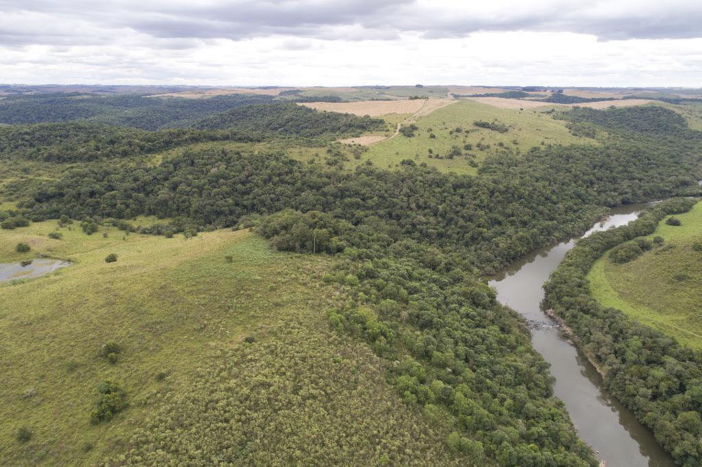Foto: Fundação Estadual de Proteção Ambiental (Divulgação) - Área de preservação monitorada pela Fepam
