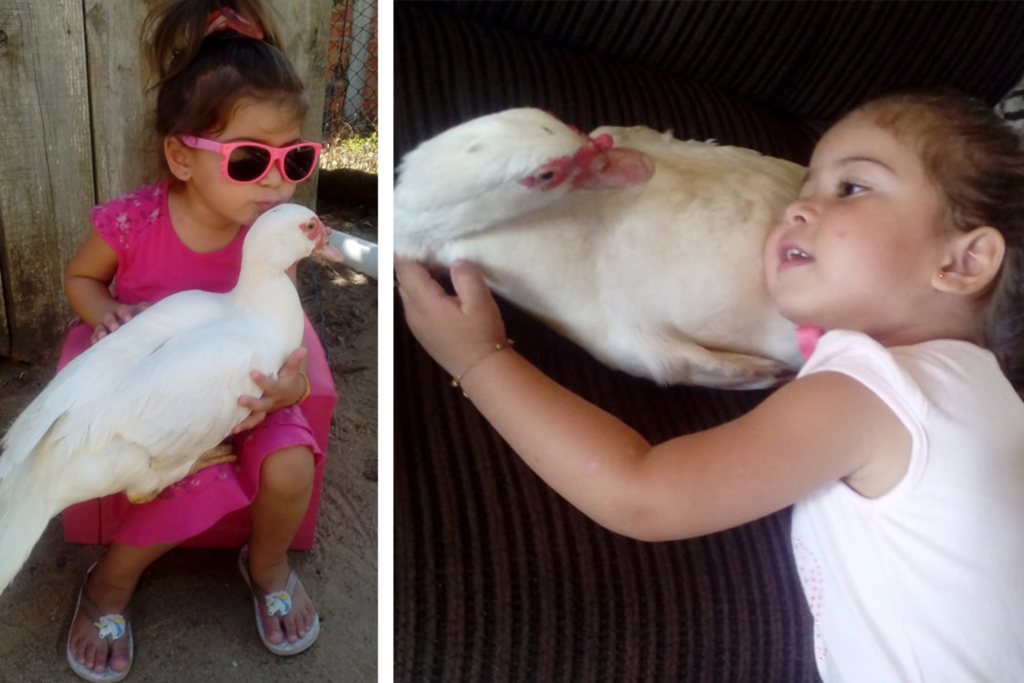 FOTOS E VÍDEO: menina adota pata de estimação e é feliz com ela