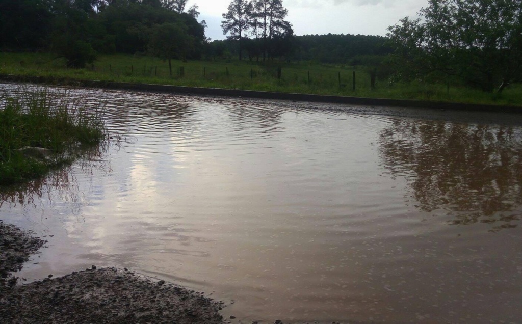 Foto: Daiane Rios Pozzobon (Arquivo pessoal) - 