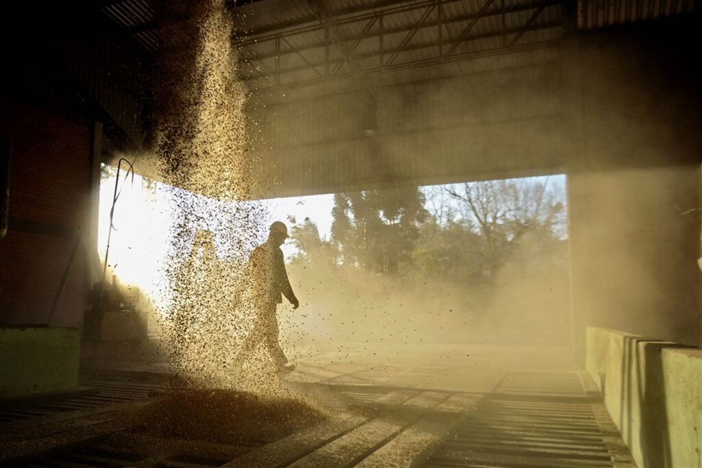 Foto: Charles Guerra (20/07/2017) - A imagem premiada do fotógrafo Charles Guerra mostra o trabalho em um silo de soja de Santa Maria