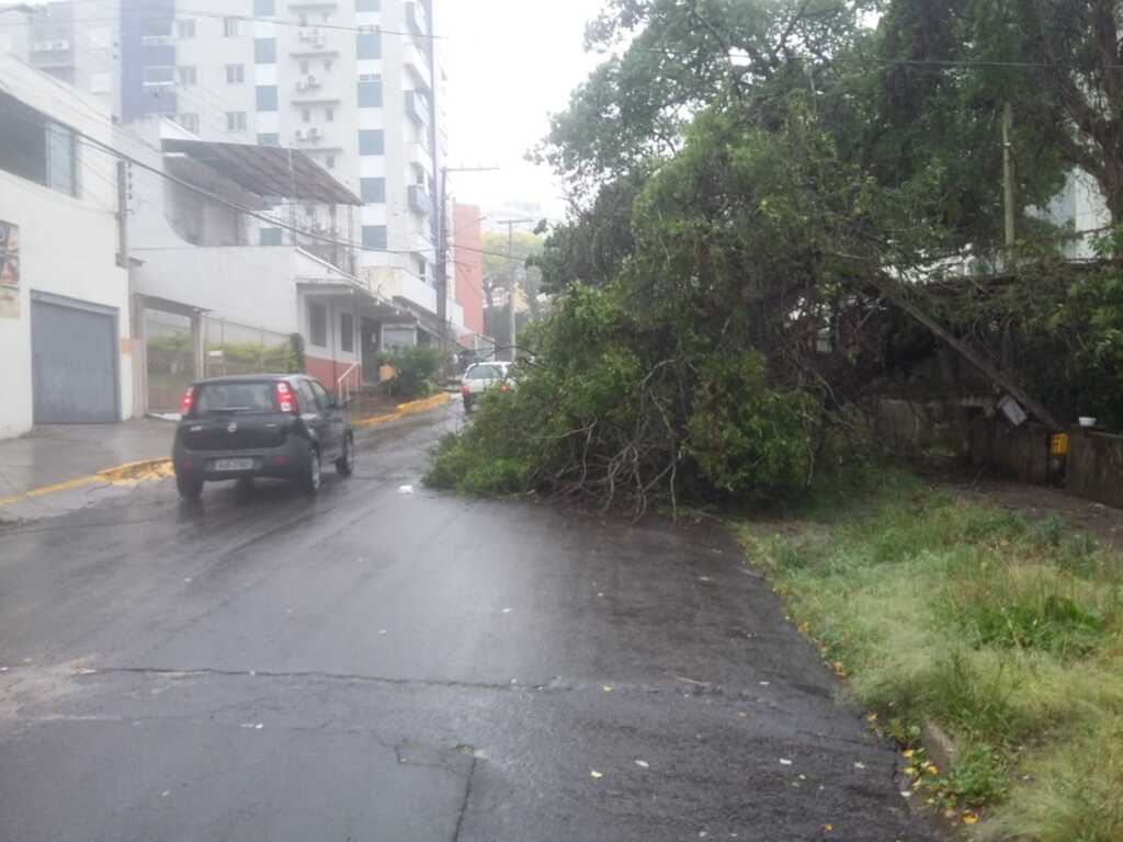 título imagem Ventania derruba fios de alta tensão e bloqueia rua em distrito de Santa Maria