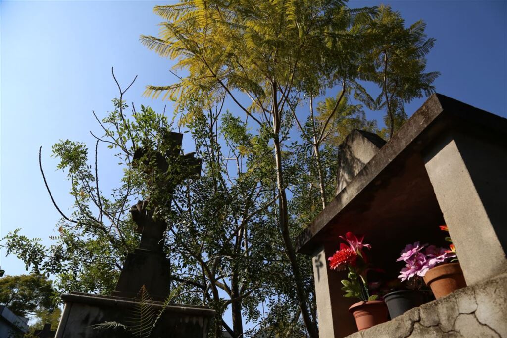 Foto: Charles Guerra (Diário) - 