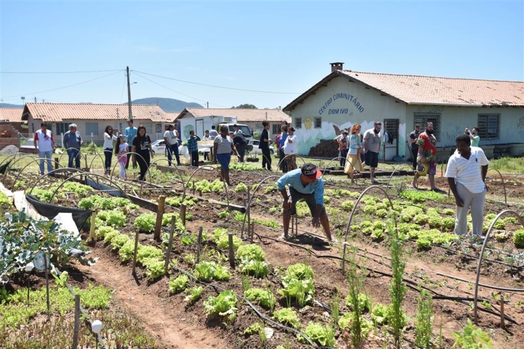 título imagem Horta Comunitária beneficia 11 famílias do Residencial Dom Ivo Lorscheiter
