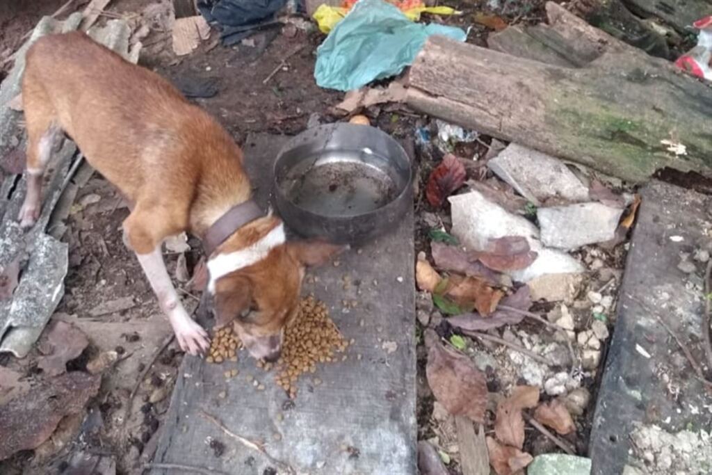 Foto: Divulgação (Arquivo Pessoal ) - 