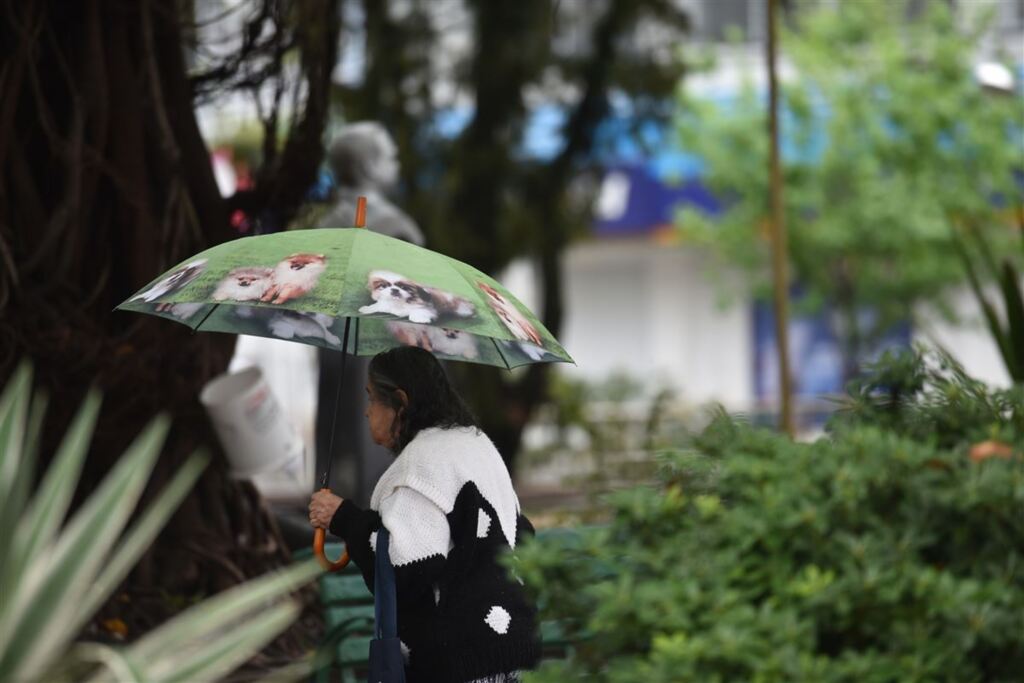 Foto: Gabriel Haesbaert (Diário) - 