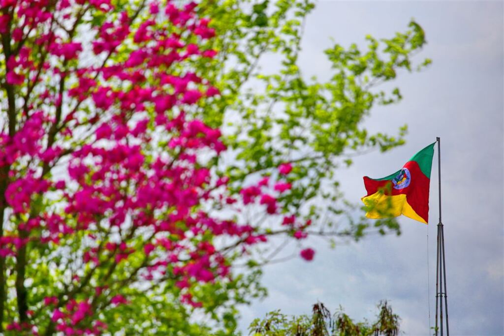 Foto: Renan Mattos (Diário) - 