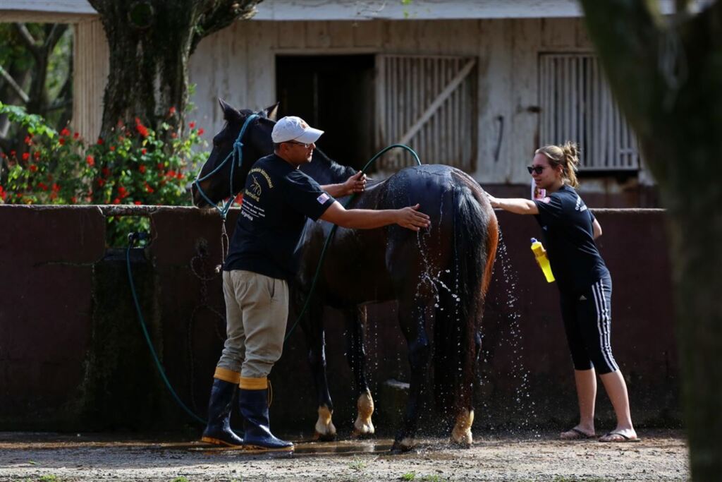Foto: Charles Guerra (Diário) - 