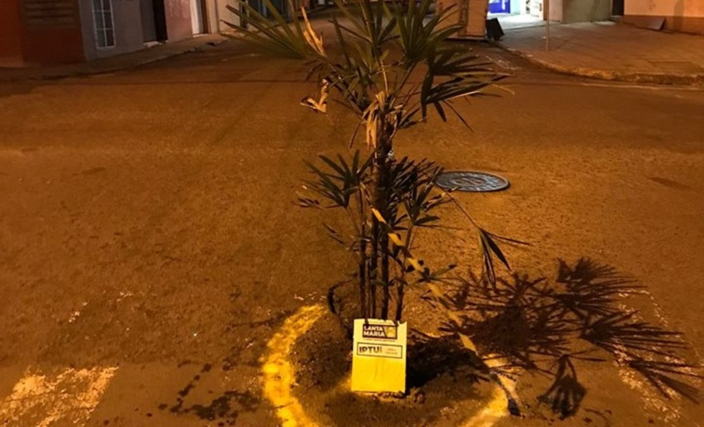 Árvore é 'plantada' dentro de buraco no centro de Santa Maria