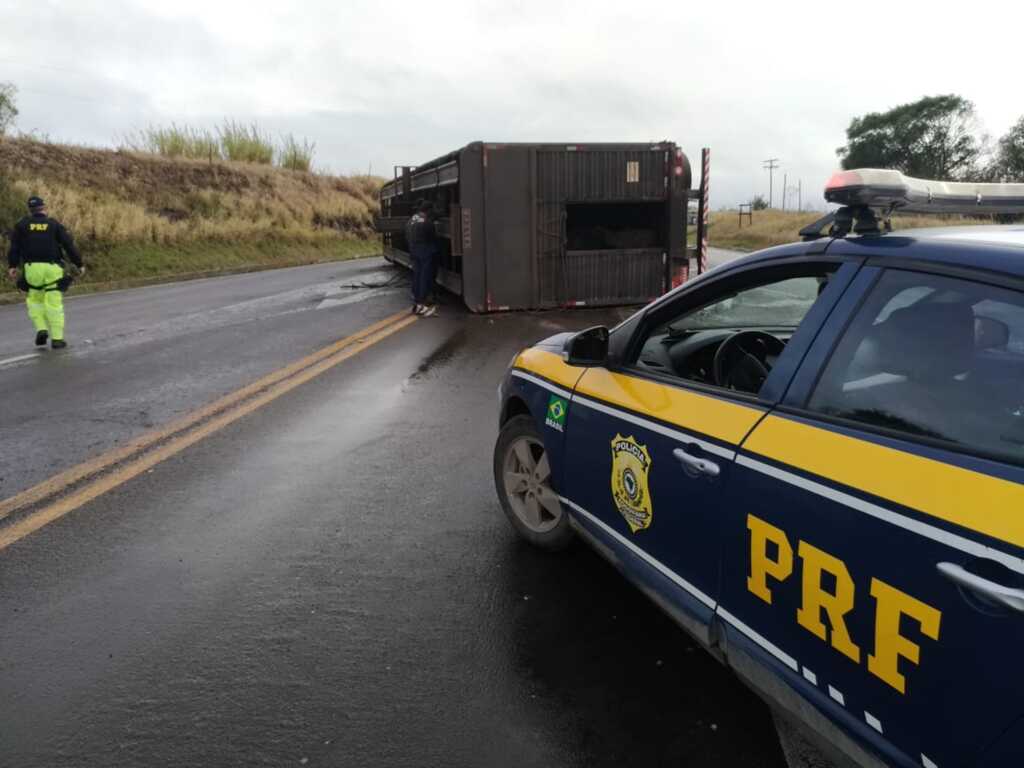 Carreta carregada de terneiros tomba na BR-392 em Caçapava do Sul