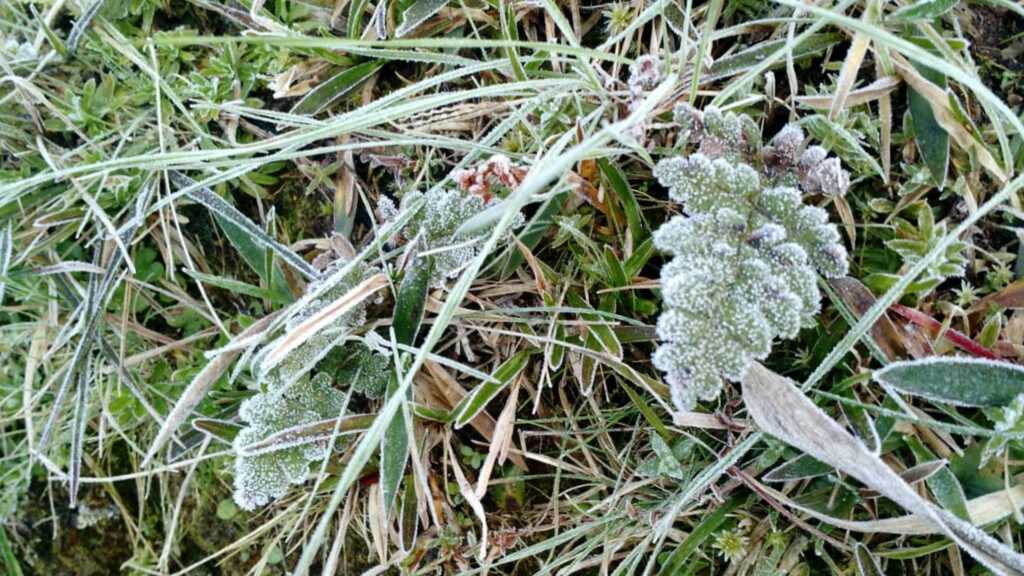 Após geada, temperaturas voltam a subir em Santa Maria