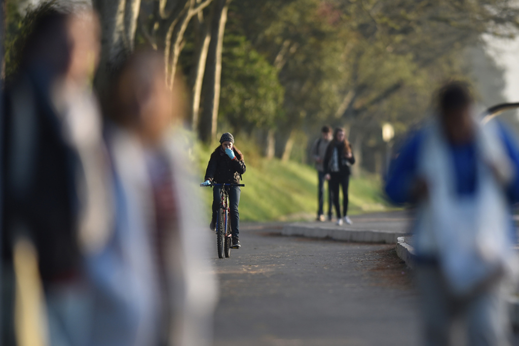 Pedalar é uma terapia a baixo custo