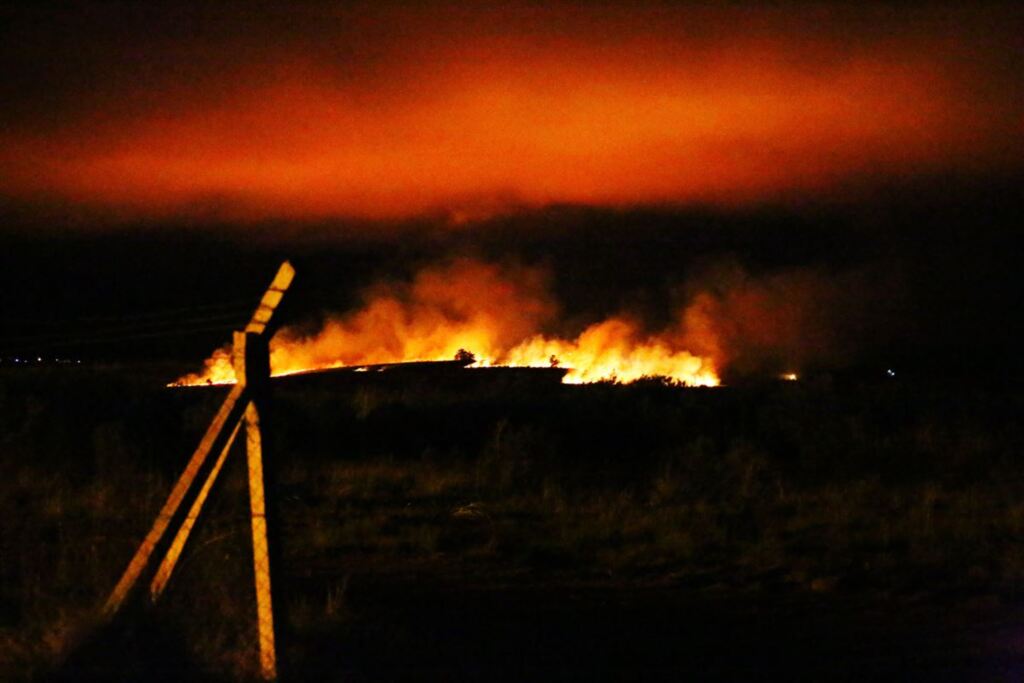 Foto: Renan Mattos (Diário) - 