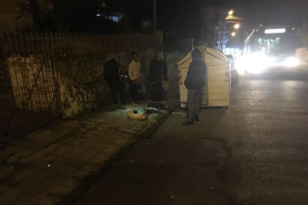 Animais mutilados são descartados em rua na área central de Santa Maria