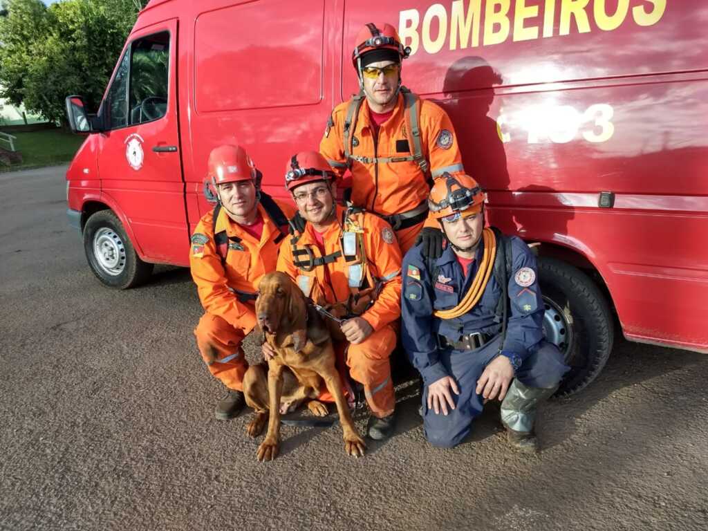 Com ajuda de cachorra de caça, bombeiros localizam jovem desaparecida no interior de Santa Maria