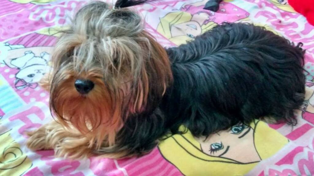 Foto: Maria Clara Derzete (Arquivo Pessoal) - 