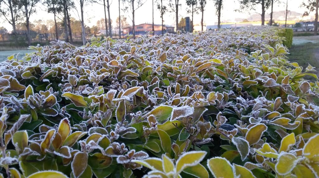 Edson da Cunha Bilibio (arquivo pessoal) - 