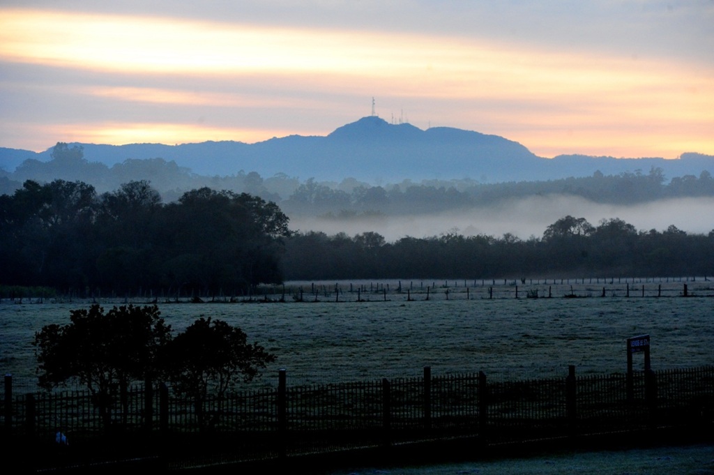 Foto: Renan Mattos (Diário) - 
