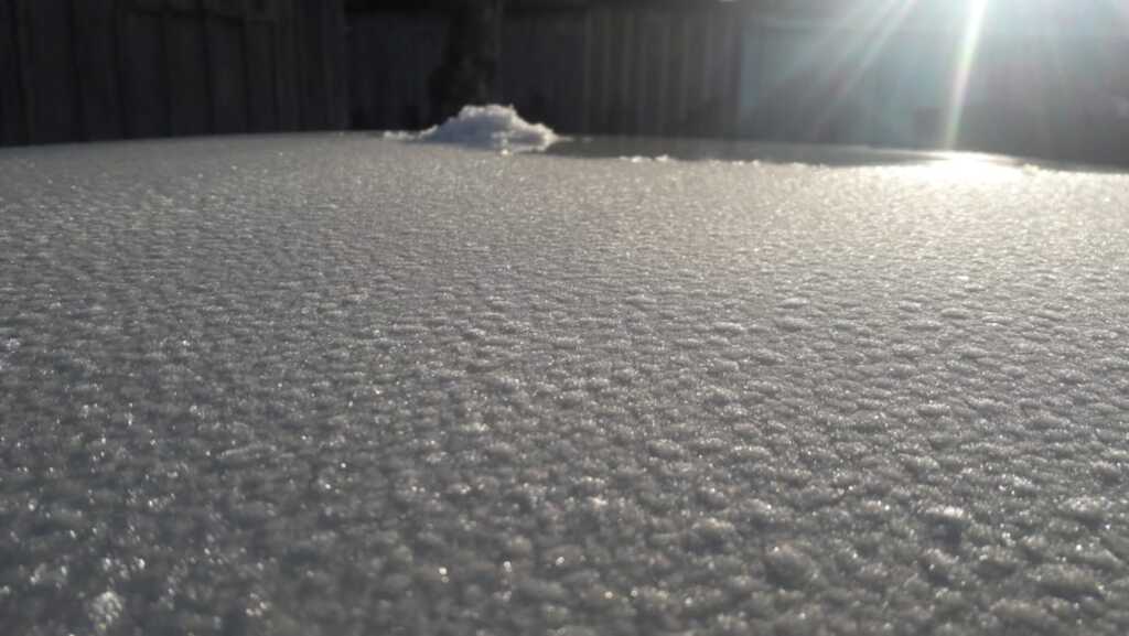 Foto: Rafaela Colleoni (Arquivo pessoal) - 