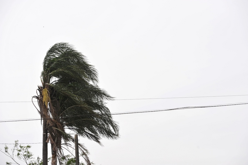 Foto: Gabriel Haesbaert (Diário) - 