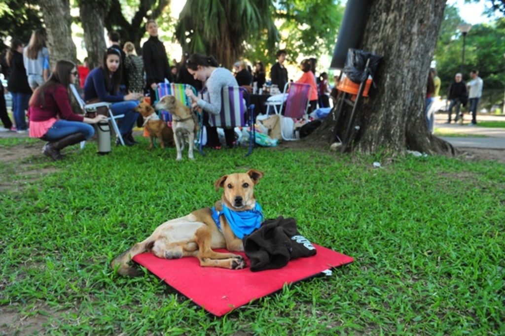 Domingo é dia de feira solidária na Praça dos Bombeiros