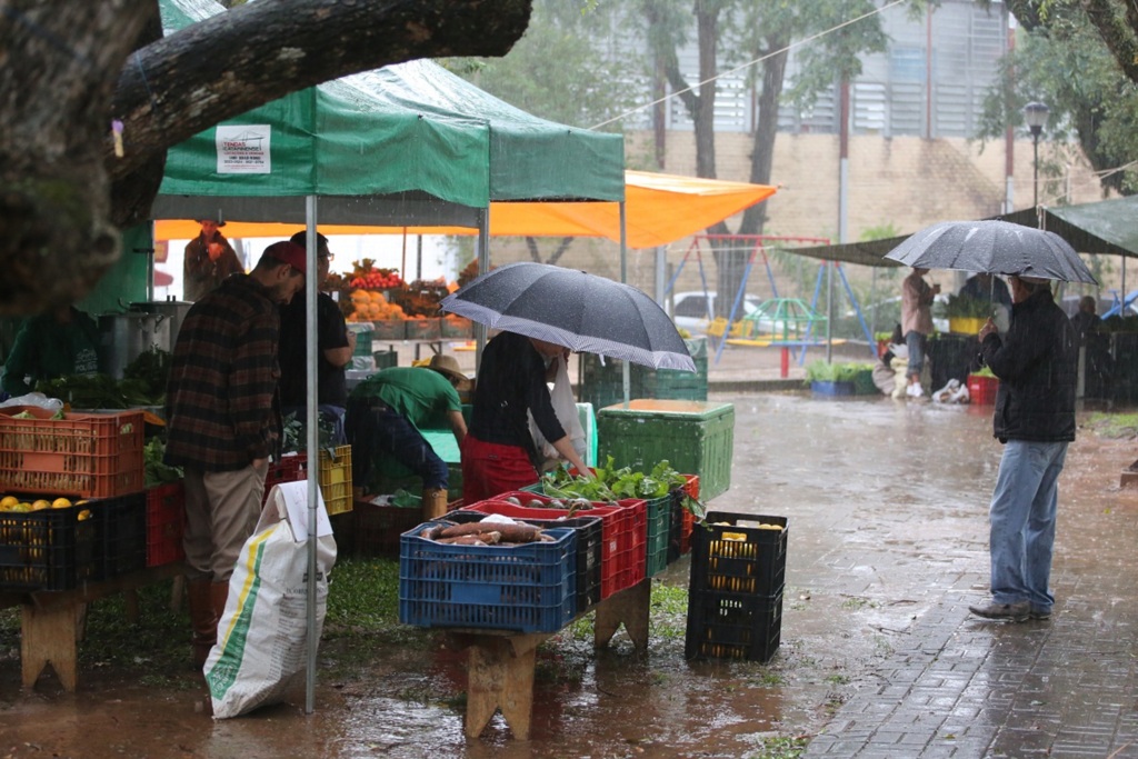 Feira de produtores locais acontece nesta sexta na Praça dos Bombeiros