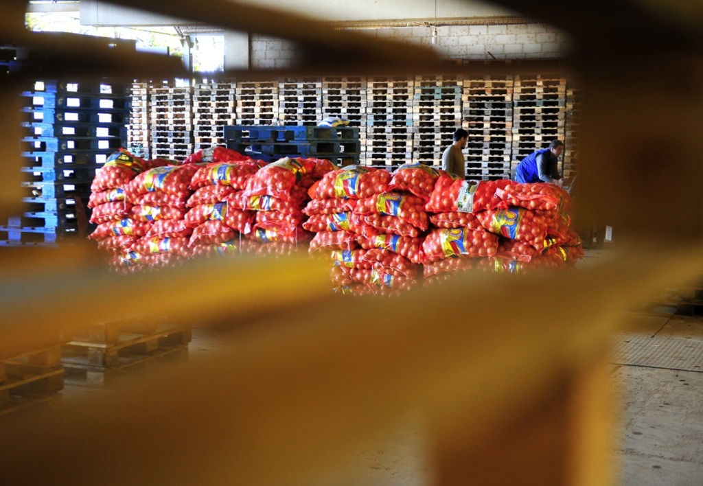 Foto: Renan Mattos (Diário) - 