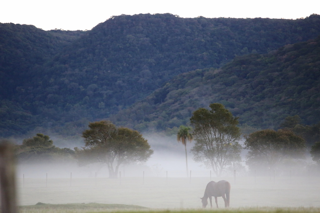 FOTOS: Santa Maria registra menor temperatura do ano pelo terceiro dia seguido