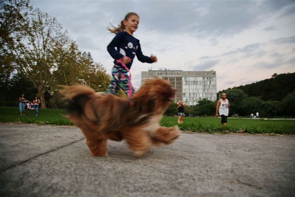 Foto: Gabriel Haesbaert (Diário) - 