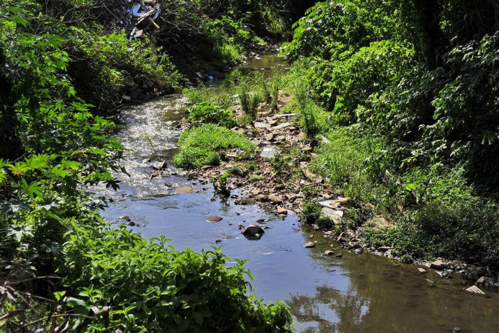 Foto: Lucas Amorelli (Diário) - Áreas como o Arroio Cadena carecem de intervenções que garantam a preservação hídrica