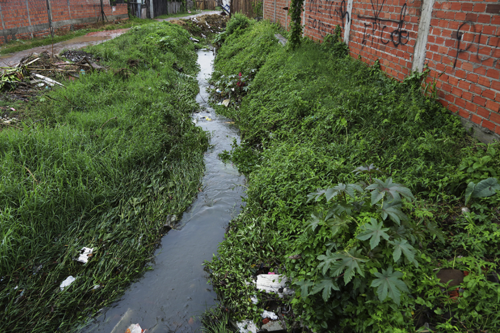 Foto: Lucas Amorelli (Diário) - 