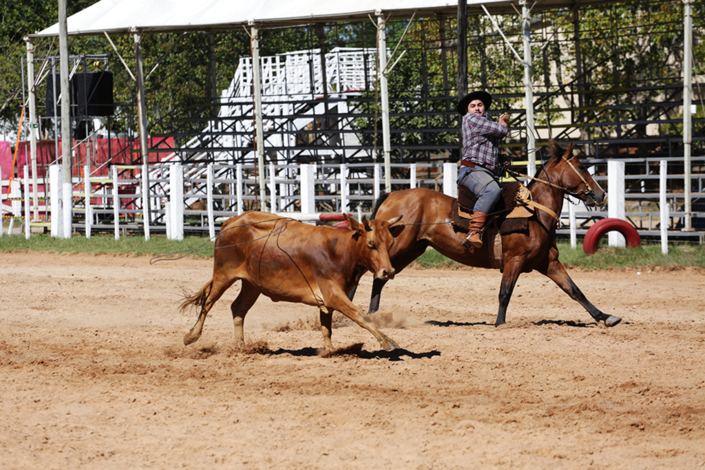 Rodeio do Conesul segue com provas até domingo