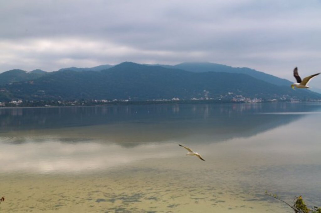 Vai para o litoral? Confira as condições de banhos nas praias