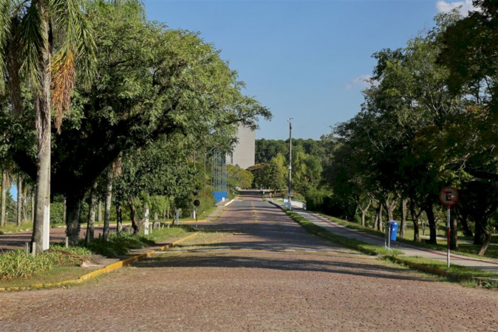 Foto: Pedro Piegas (Diário) - 