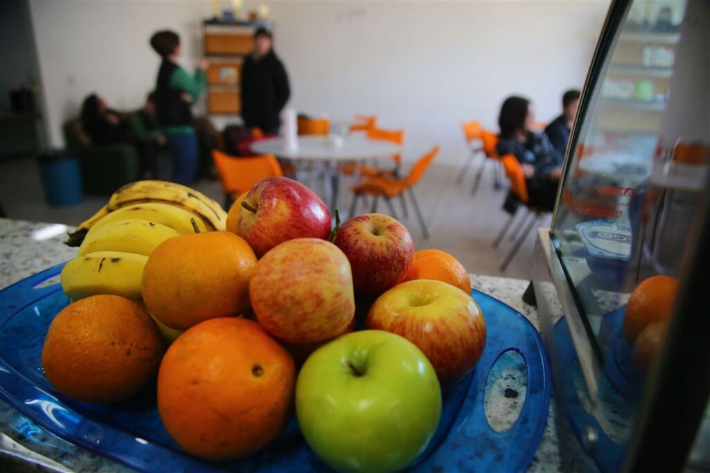 Projeto propõe lei municipal sobre lanches saudáveis nas escolas de Santa Maria