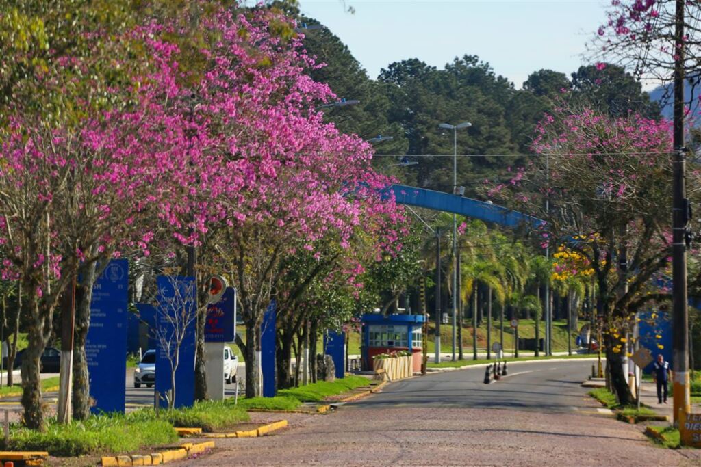 Servidores técnico-administrativos da UFSM paralisam atividades nesta quinta-feira