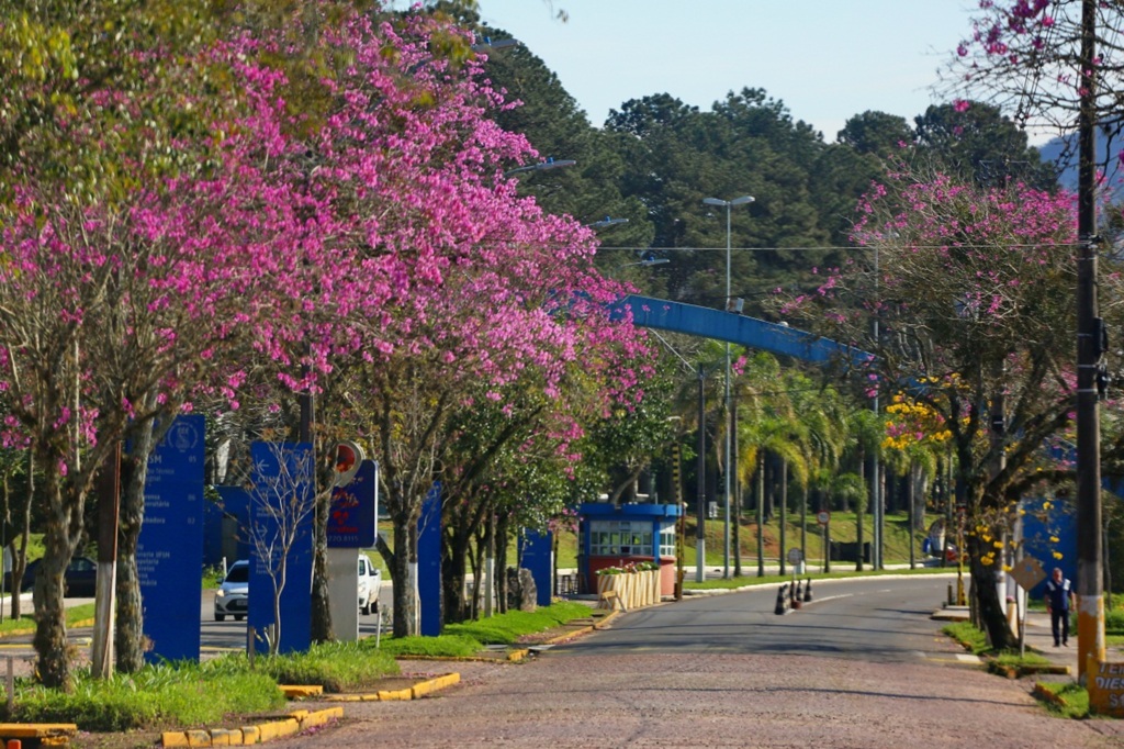 Foto: Charles Guerra (Diário) - 