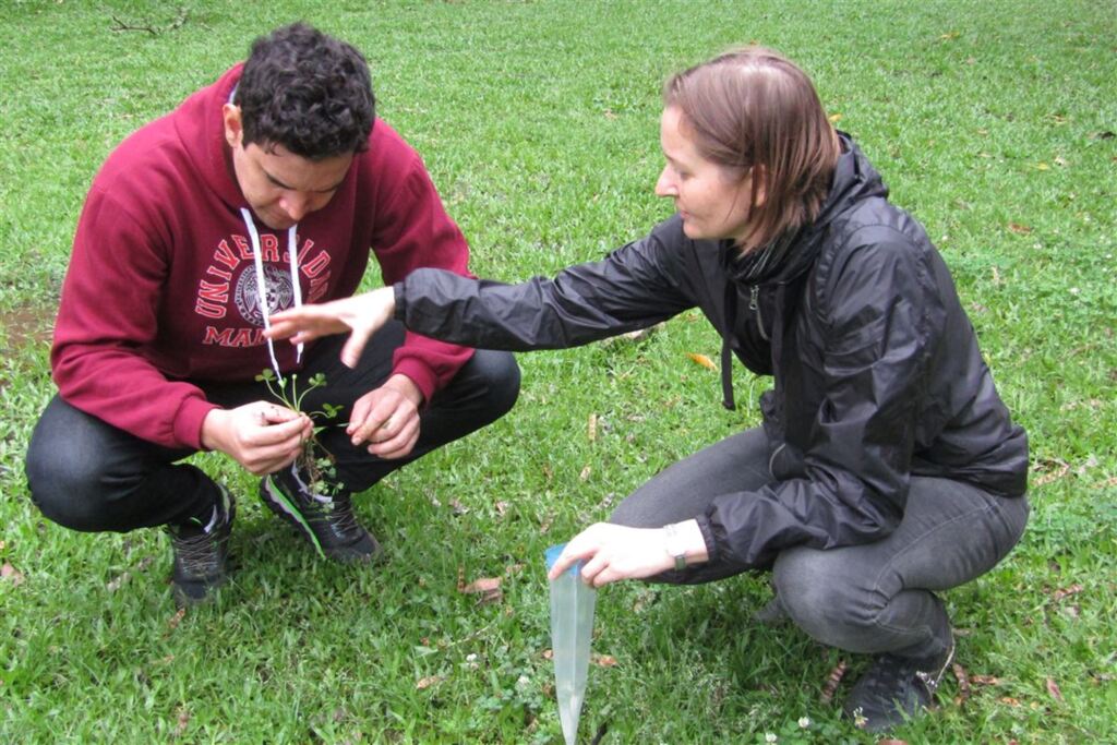 Pesquisadores firmam parceria para analisar efeito da urbanização na evolução