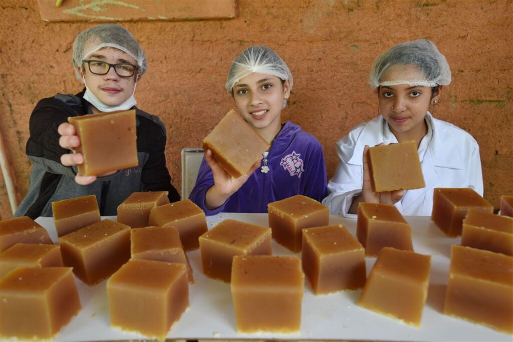 Escola Intendente Manoel Ribas ganha selo da Unesco