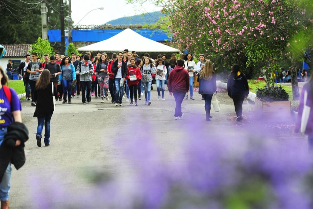 Foto: Gabriel Haesbaert (Diário) - 