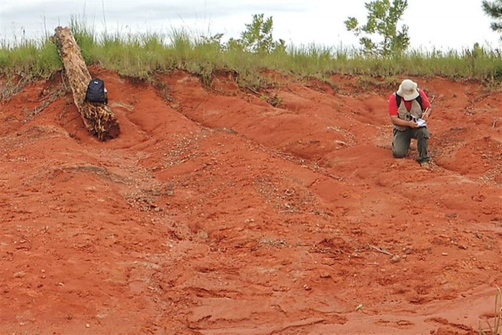 UFSM divulga descoberta de mais um fóssil