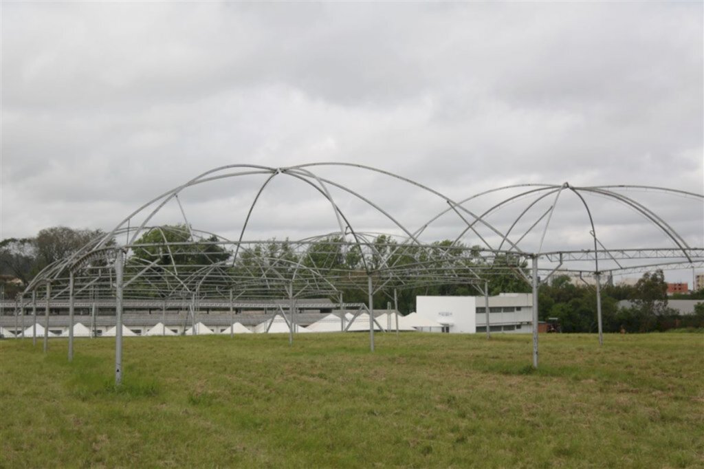 Foto: Pedro Piegas (Diário) - 