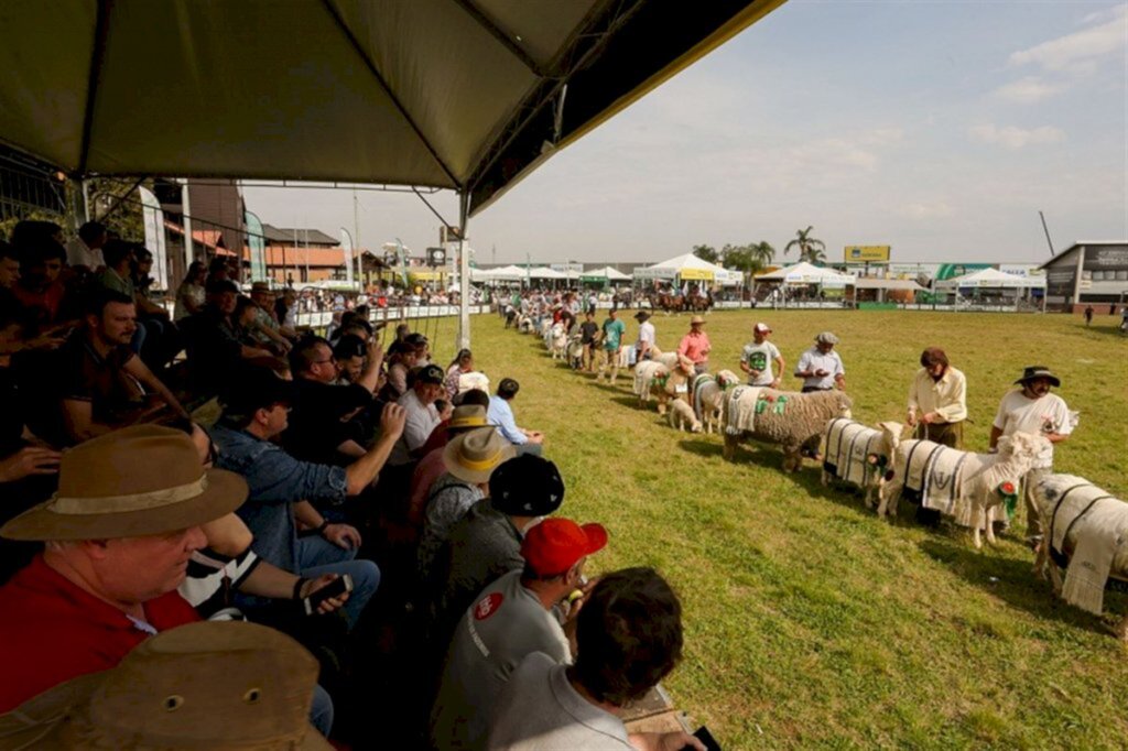 Expointer 2020 é cancelada por causa da pandemia do coronavírus