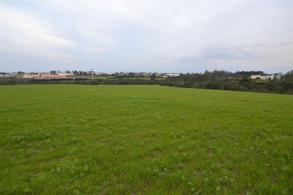 Foto: Deni Zolin (Diário) - 