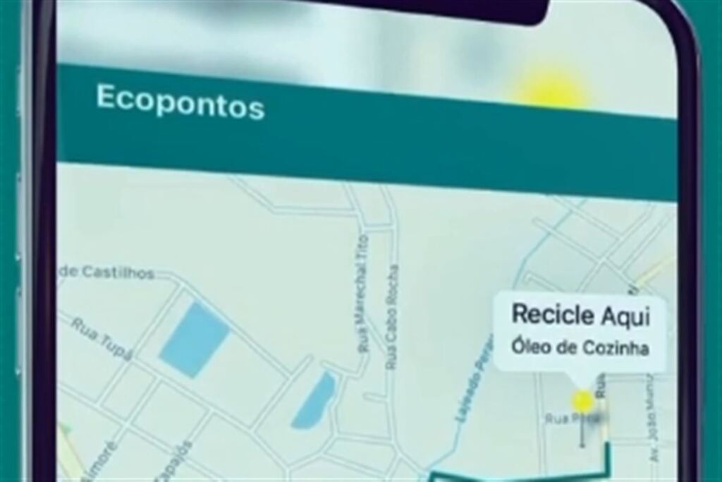 Foto: Reprodução - 