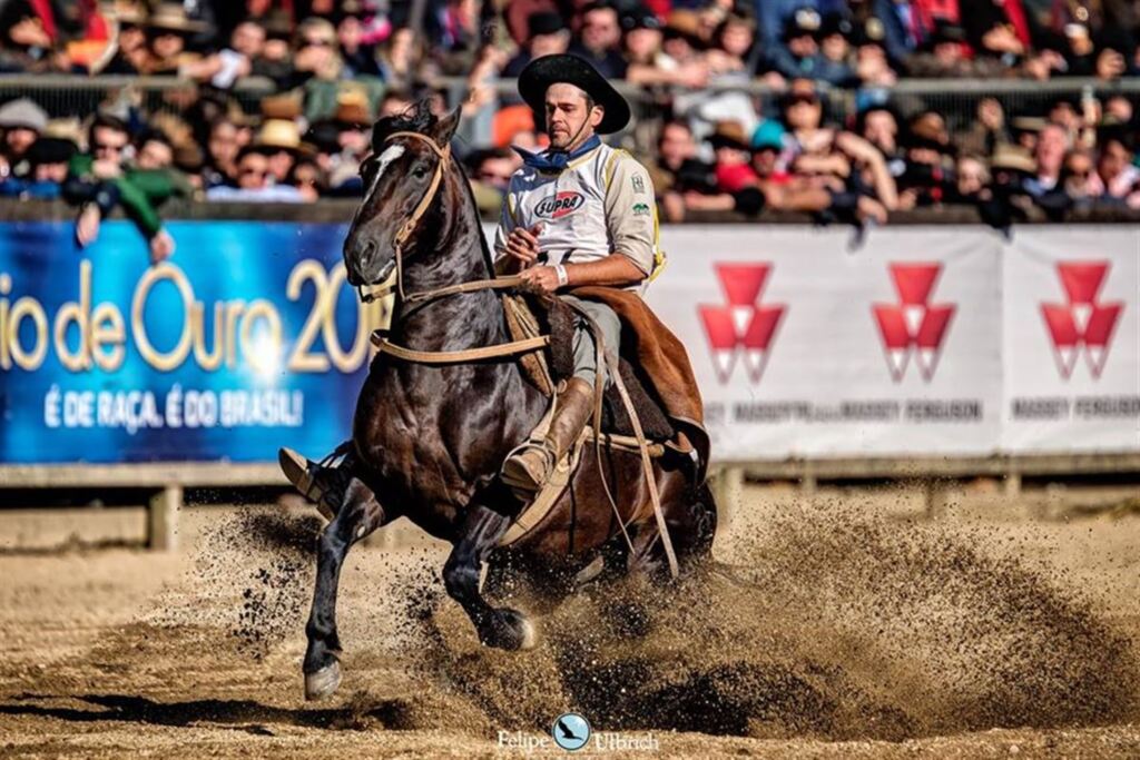 Região se destaca no Feio de Ouro com ginete e uma fêmea