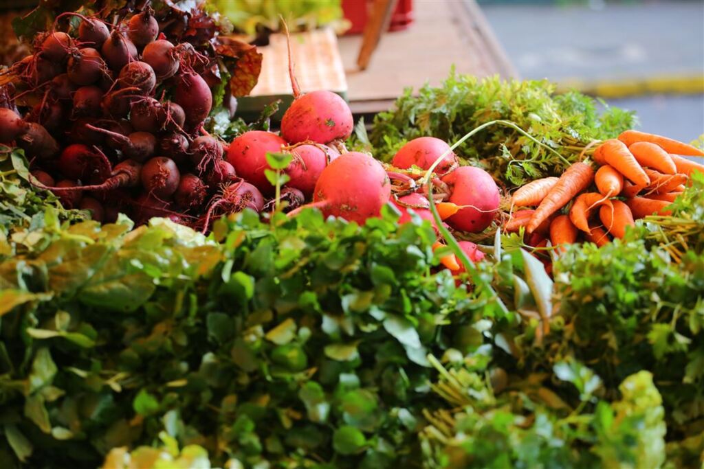 Santa Maria paga R$ 650 milhões em hortifrúti produzido em outros locais